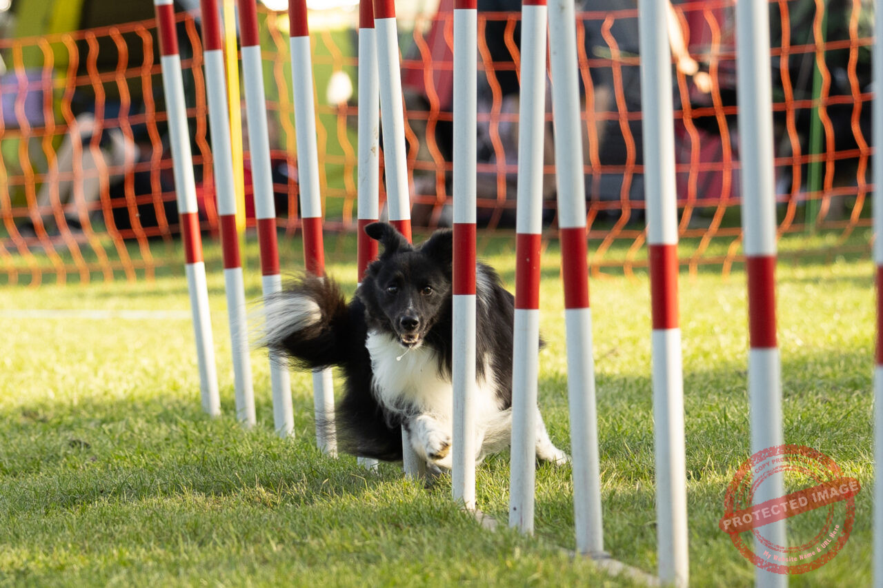 20230903_194843000_iOS