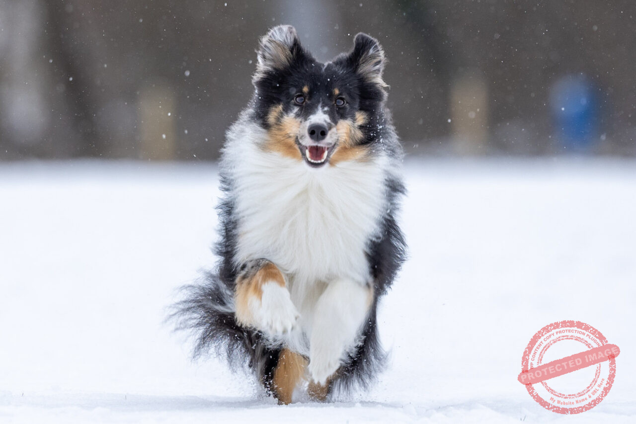 20231203_195310000_iOS