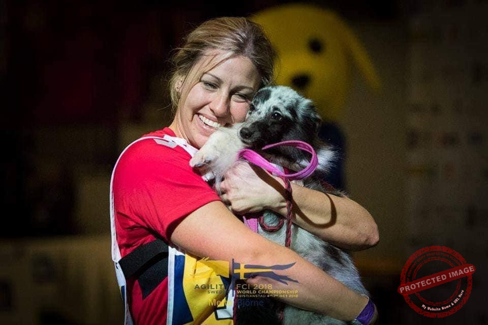 20231206_182519984_iOS