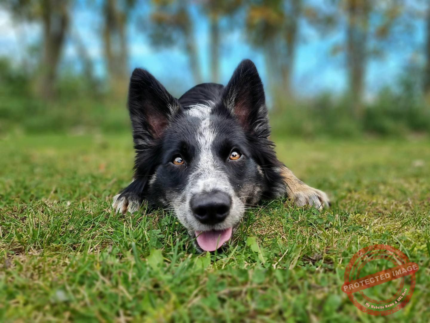 413084492_2138128133217624_4678390004385378146_n