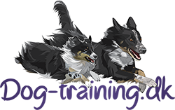 Dog-training medlemskab